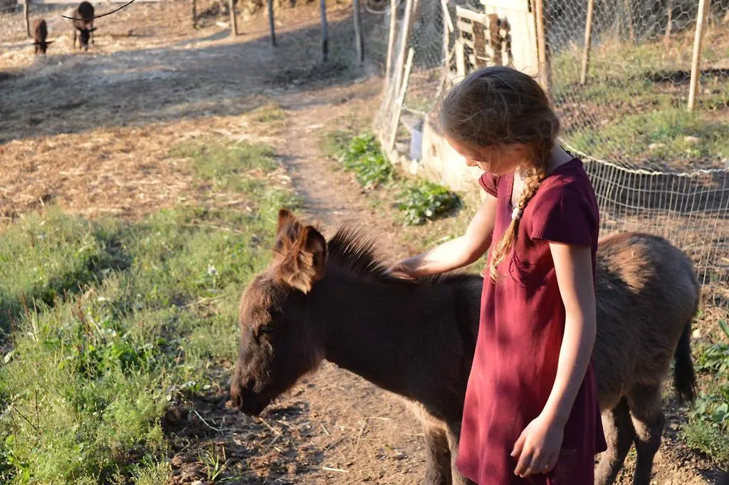 Willa Bellavista Seggiano Gospodarstwo agroturystyczne